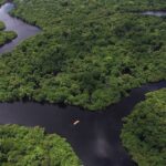 Amazônia-4.jpg