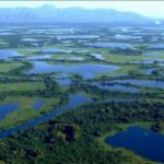 Pantanal-2.jpg